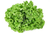 Sementes de Alface Crespa