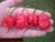 Sementes De Carolina Reaper (Pimenta Mais Forte Do Mundo). na internet