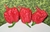 Sementes de Carolina Reaper 50 Sementes