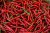 Sementes de Pimenta Cayenne
