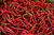 Sementes de Pimenta Cayenne Orgânica