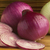 Sementes De Cebola Roxa