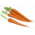 50 Sementes De Cenoura Comprida - loja online