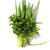 Sementes de Cheiro Verde (Cebolinha e Salsa)