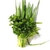 Sementes de Cheiro Verde (Cebolinha e Salsa)