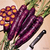 Sementes de Cenoura Cosmic Purple (Roxa)