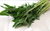 Sementes de Almeirão Folha Larga Verde