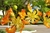 Flamboyant Amarelo - Delonix Regia Sp. 