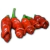Sementes de Pimenta Peter Pepper