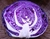 Sementes de Repolho Roxo