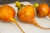 Sementes de Beterraba Laranja
