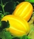 Sementes de Melão Caipira (Gaúcho)