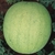 Sementes de Melancia Omaru Yamato