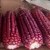 Sementes de Milho Roxo