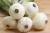 Sementes de Cebolinha Para Conserva (Cebolinha Cristal Wax)