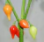 Sementes de Pimenta Biquinho