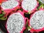 Sementes de Pitaya