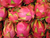 Sementes de Pitaya