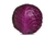 Sementes de Repolho Roxo
