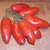 Sementes de Tomate Italiano San Marzano