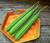 Sementes de Esponja Vegetal (Bucha)