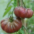 Sementes de Tomate Purple Calabash