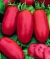 Sementes de Tomate Italiano San Marzano