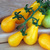 Sementes de Tomate Yellow Plum