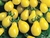 Sementes de Tomate Yellow Plum