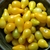 Sementes de Tomate Yellow Plum