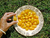 Sementes de Tomate Yellow Plum