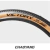 Cubierta Chaoyang Victory Banda Marron 29x2.00 en internet