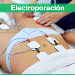 Curso Online ESTETICISTA CORPORAL - VALOR INSCRIPCIÓN - CURSO DE INICIO - 4 meses - Valor Inscripción: en internet