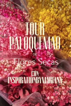 Tour Privado Paloquemao