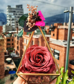 Rosa Premium Preservada Unique (15cmx10cm)