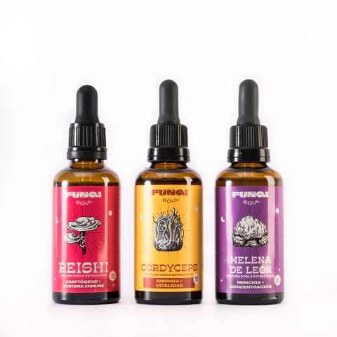 COMBO RESISTENCIA - Melena de leon + Reishi + Cordyceps - comprar online