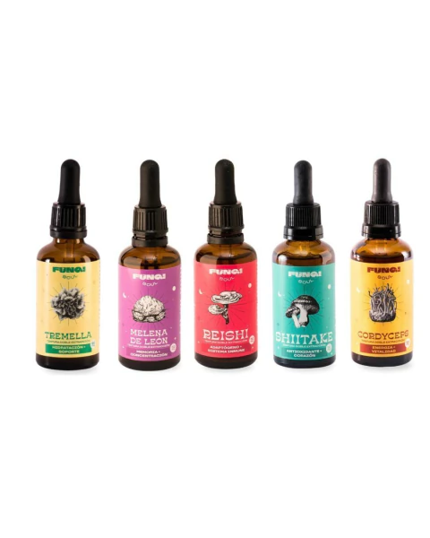 COMBO POWER - Melena de leon + Reishi + Cordyceps + Shiitake + Tremella - comprar online