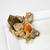 girgola escabeche