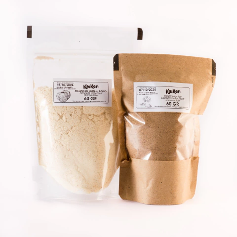 COMBO RELAX - Melena de leon + reishi - comprar online