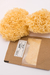TREMELLA EN POLVO 30gr en internet