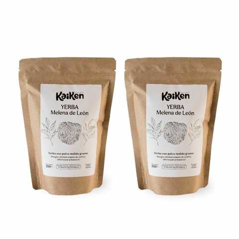 COMBO MATECITO - YERBA MATE CON MELENA DE LEON - 500gr - - comprar online