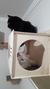 Kit Gatificação 05 - A Casa é do Gato