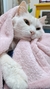 Manta meu Soninho Algodão Doce - A Casa é do Gato