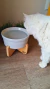 Bebedouro Elevado - comprar online