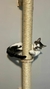 Arranhador ( parede ) Tubular modulado na internet