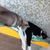 Cama Big/Prateleira - A Casa é do Gato