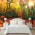 Papel de Parede Paisagem Floresta Outono Árvores Para Decorar Quarto Sala e Ambientes