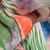 Imagem do Cropped estampado