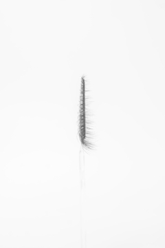 SHOOW TOOLS - VOLUMINOSAS (10PAIRS) - Beauty house