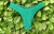 Verde Bandeira Texturizado Calcinha Asa Delta